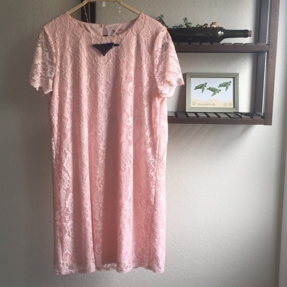 $20 SALE Blush Pink Crochet Knit Lace Lined Dress Boho Floral Spring JUICY
